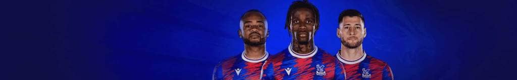 does sudoku have multiple solutions
